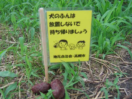 ミニ旗の写真