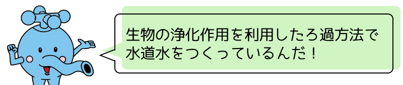 生物の浄化作用を利用したろ過方法で水道水をつくっているんだ！と言っているすいぞうくんのイラスト