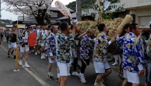 「大蛇祭」で村を練り歩く大綱の画像