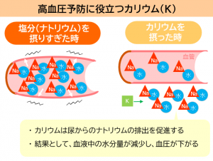 高血圧予防に役立つカリウム