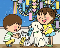 週刊たかメールトップ画像
