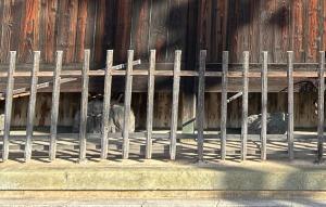 駒寄（こまよせ）1