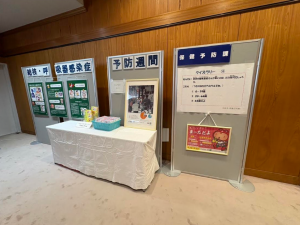 展示の様子