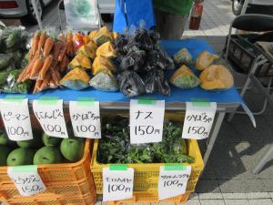 夏野菜２