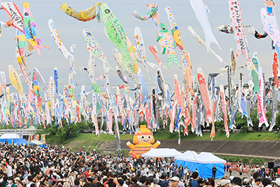 こいのぼりフェスタ風景