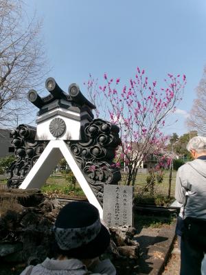 富寿栄の松 根跡