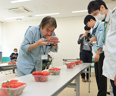 イチゴの香りをかぐ審査員