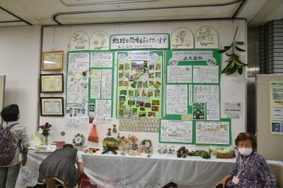 展示