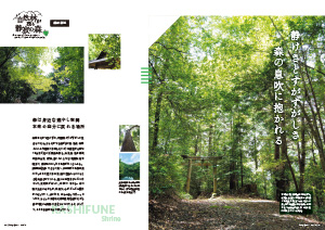 たかつきDAYS8月号2・3ページの画像