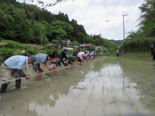 田植え風景