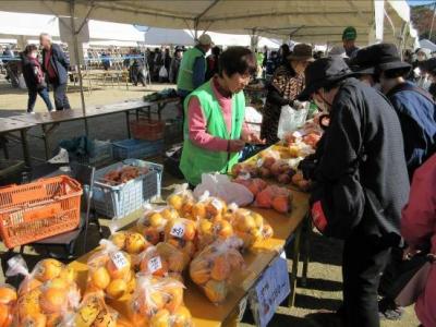 農林業祭の写真