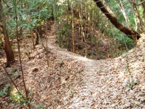 堀切と土橋の画像